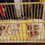 Baby Cot Image 4