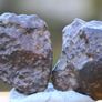 Meteorite 13.22 grams NWA 869 split in 2 Image 3