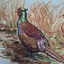 Oval pheasant scene plate Image 3