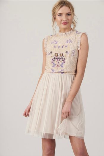 Frock and Frill Dress