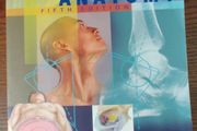 Clinically oriented anatomy