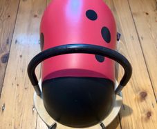 Wheelybug - Ladybird - Large