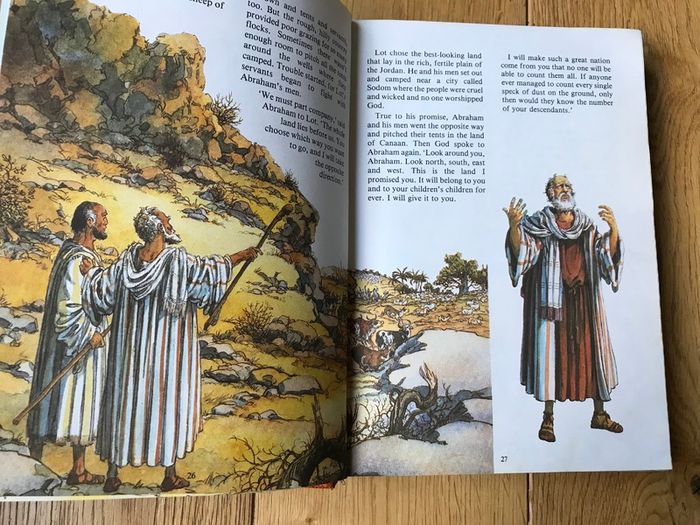 The Ladybird Bible Story Book