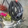 bike Image 6