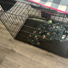 dog crate