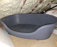 Dog bed