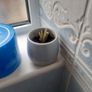 Small aloe vera plant Image 2