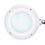 Elegante 6031 magnifying lamp with 60 SMD 3D LEDs, Image 5