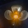 Brass Candle Holder Set Image 3