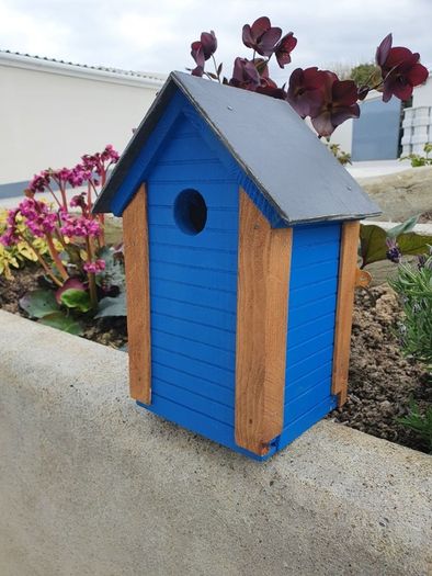 bird box