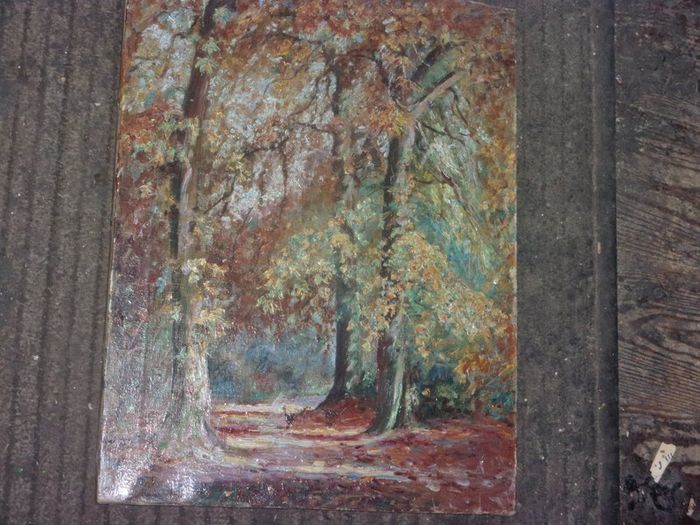oil painting on canvas of a forest by daly
