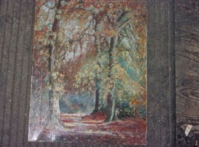 oil painting on canvas of a forest by daly