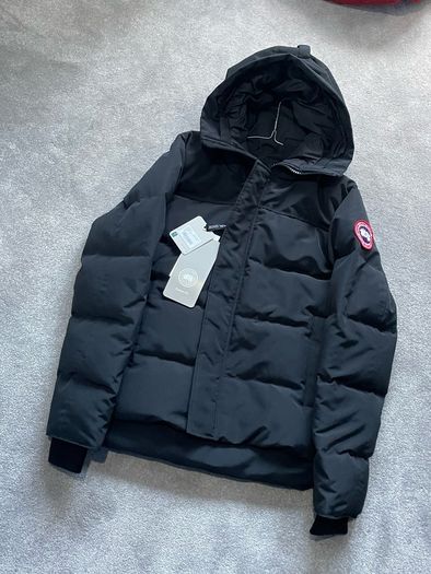 canada goose