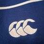 Leinster Jersey. Official Canterbury Leinster Jersey From Bank Of Scotland Era.  Authentic Original From The Time.  Not A Modern Day Remake.  Collect In Dublin Or Receive Via Post. Image 4