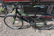 carrera boys bike