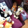 Teddys, soft toys, Teddy Bears. Image 4