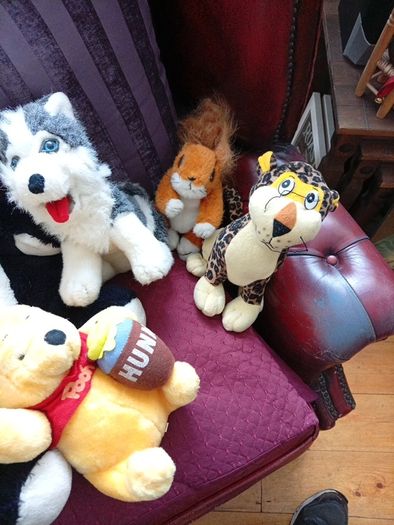 Teddys, soft toys, Teddy Bears.