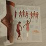Children :  The ballet book. D'Arcy Bussel Image 6