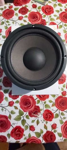 Woofer Speakers