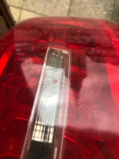 Audi a6 04-11 estate Right side Back Light