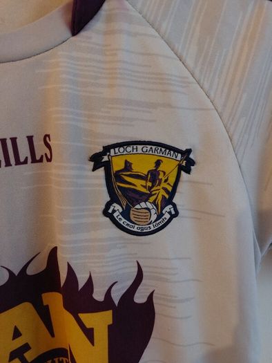 wexford gaa jersey