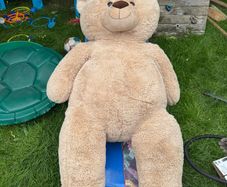 XXL teddy