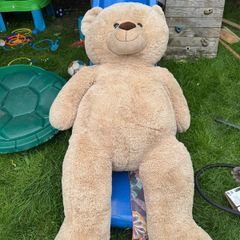 XXL teddy
