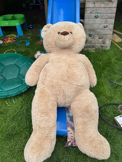 XXL teddy