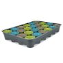 Buzzy Flower Seed Advent Calendar Image 4