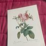 Decoupage Prints Image 4