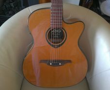 Lag Acoustic Guitar