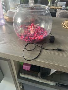 Fish bowl