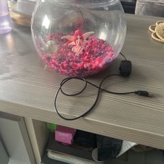 Fish bowl