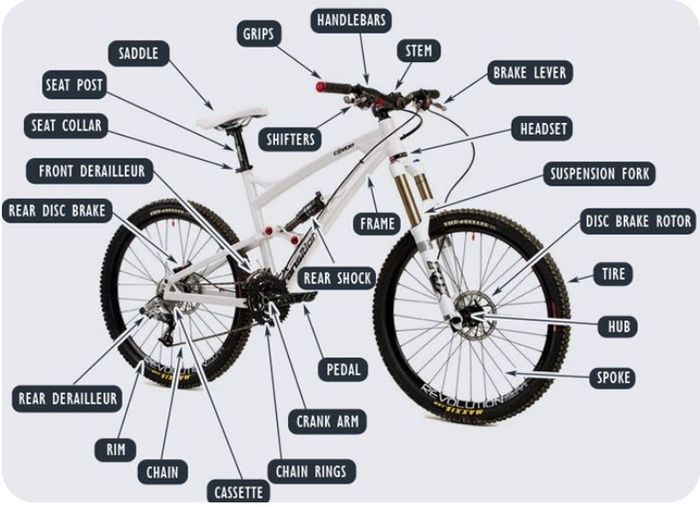 Bike Workshop