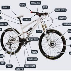 Bike Workshop