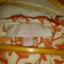 ladies shirt Image 3