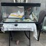 fish tank Image 2