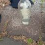 vintage vodka bottle Image 5