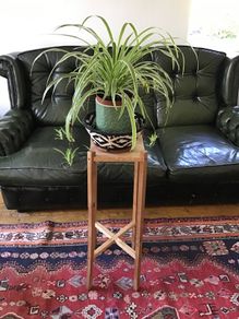 Plant stand