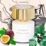 Cassiopeia Tiziana Terenzi 100 ml new Image 3
