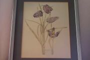 Vintage "Snake's head fritillary" print by Charles Rennie Mackintosh
