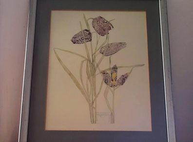 Vintage "Snake's head fritillary" print by Charles Rennie Mackintosh