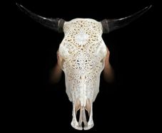 Large hand Carved Bull Skull  Lotus Design