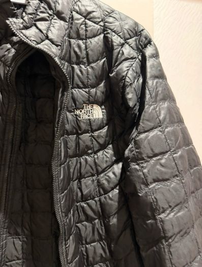 Mens The North Face