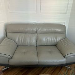 Leather Suite