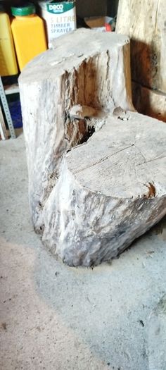 Ash tree stump