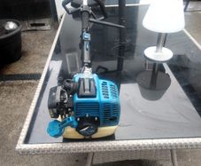 Hyundai strimmer