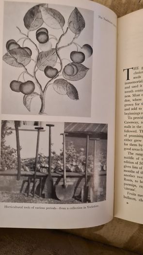 The Early Horticulturists. By Ronald Webber. Printed By David & Charles Newton Abbot. Vintage 1968 Hardback In Good Condition.