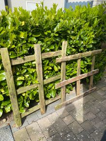 Free to go: wood