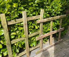 Free to go: wood